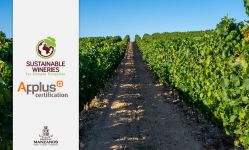 Bodegas Manzanos obtiene el certificado Sustainable Wineries for Climate Protection