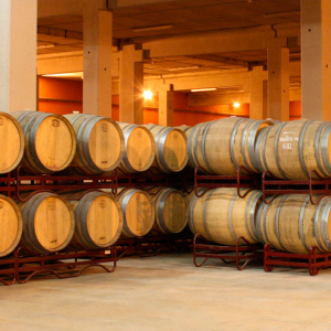 Bodegas Luis Gurpegui Muga Winery