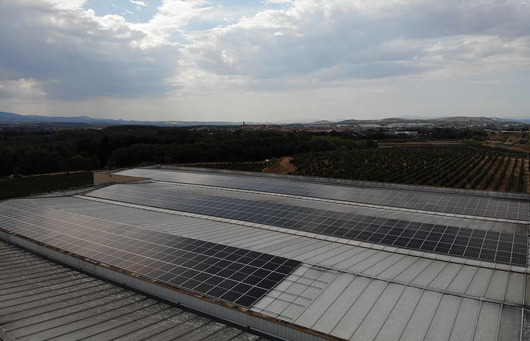 Bodegas Manzanos invierte en sostenibilidad con 400 paneles solares.